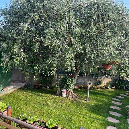 Casa Vacanze Collina Del Lago Pastrengo Eksteriør billede
