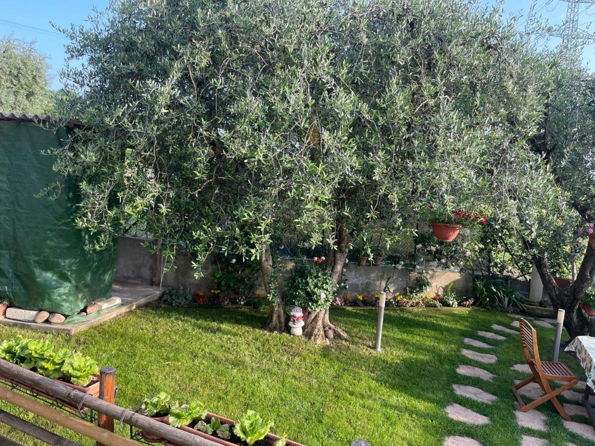 Casa Vacanze Collina Del Lago Pastrengo Eksteriør billede