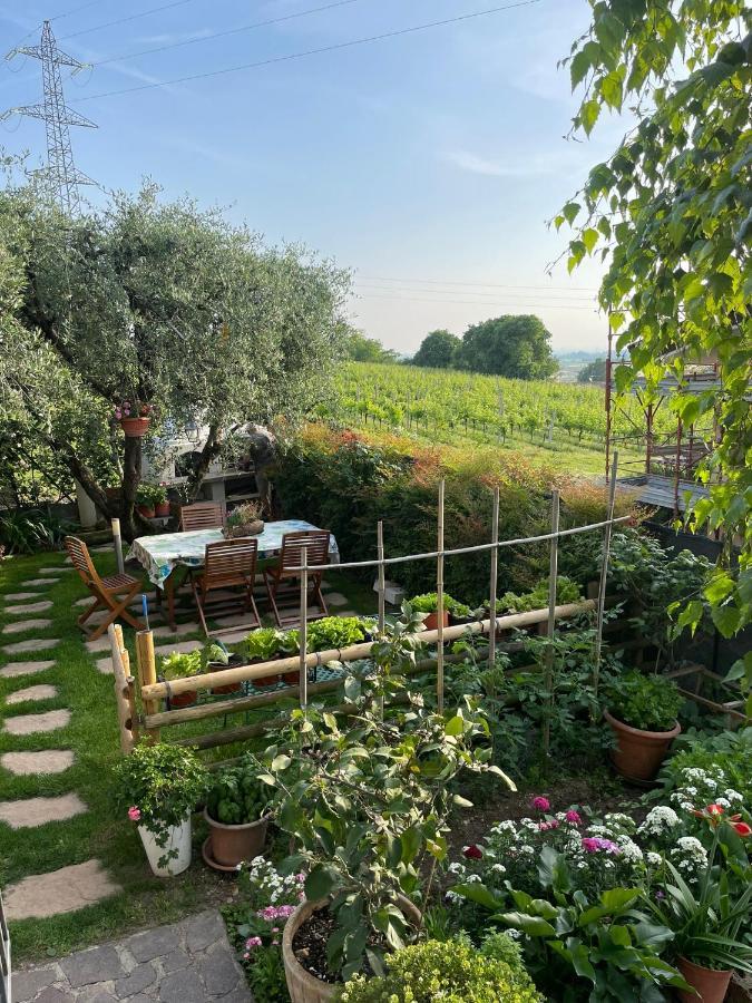 Casa Vacanze Collina Del Lago Pastrengo Eksteriør billede
